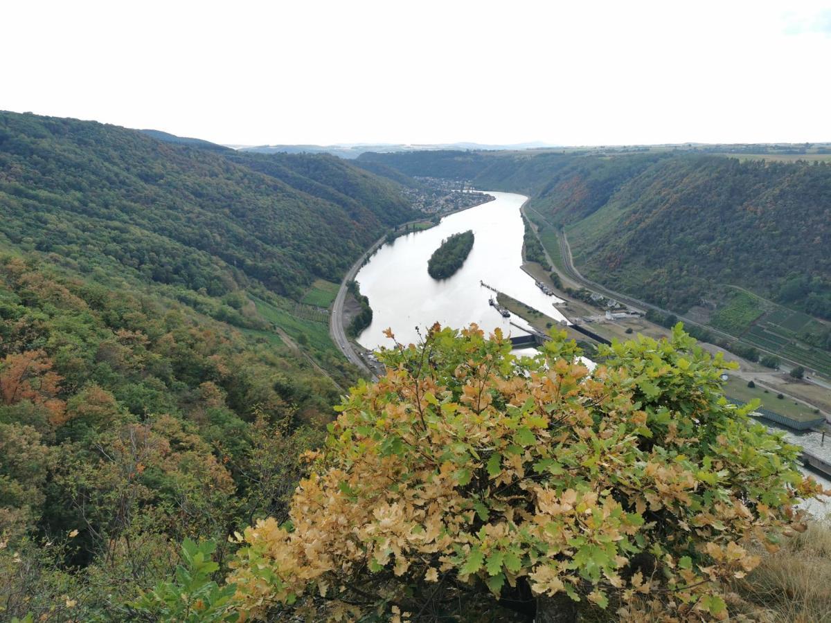 Auszeit Rhein-Mosel Lejlighed Waldesch Eksteriør billede