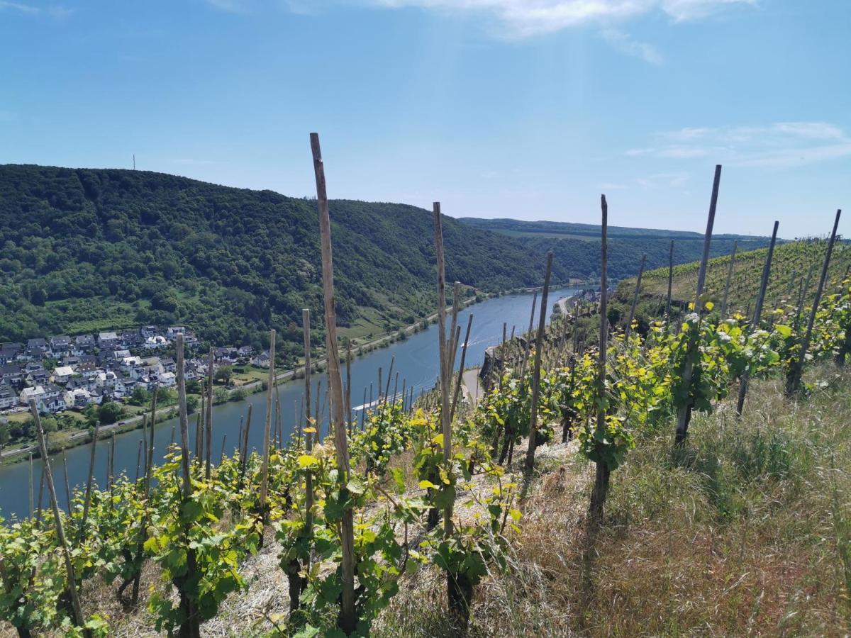 Auszeit Rhein-Mosel Lejlighed Waldesch Eksteriør billede